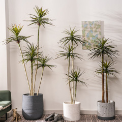 Dongguan Dream Castle narrow-leaf agave dragon blood tree wabi-sabi green plant fake tree living room decoration ornaments simulated plant