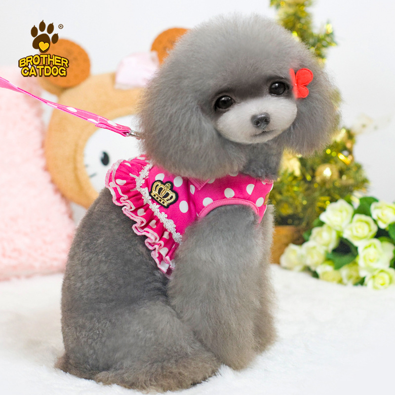 亚马逊小狗胸背带牵引绳  跨境新款猫咪背心式背带宠物胸背带绳子