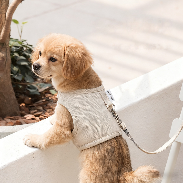 Cable de tracción para mascotas, cuerda para perros, cuerda para gatos, cuerda para perros, perros, gatos, perros pequeños y medianos.