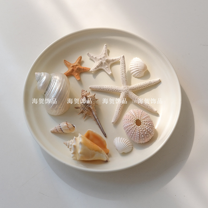 Natural Starfish Photography Props ins Cyber Celebrity Nail Art Korean Ornaments Accessories Shell Conch Photography Props