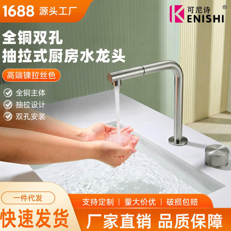 2026 Dropshipping All-Copper Kitchen Faucet, Nickel Brushed 2-Hole Pull-Out Sink Faucet 2026 Dropshipping All-Copper Kitchen Faucet, Nickel Brushed 2-Hole Pull-Out Sink Faucet