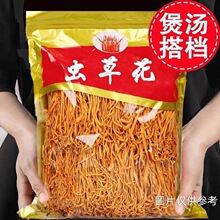 【当季新货】净重虫草花干货新鲜金虫草花煲汤火锅食材蛹虫草批发