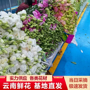 Yunnan Kunming Ouya Flower Flower