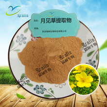 月见草提取物   月见草粉 水溶浸膏粉 现货供应