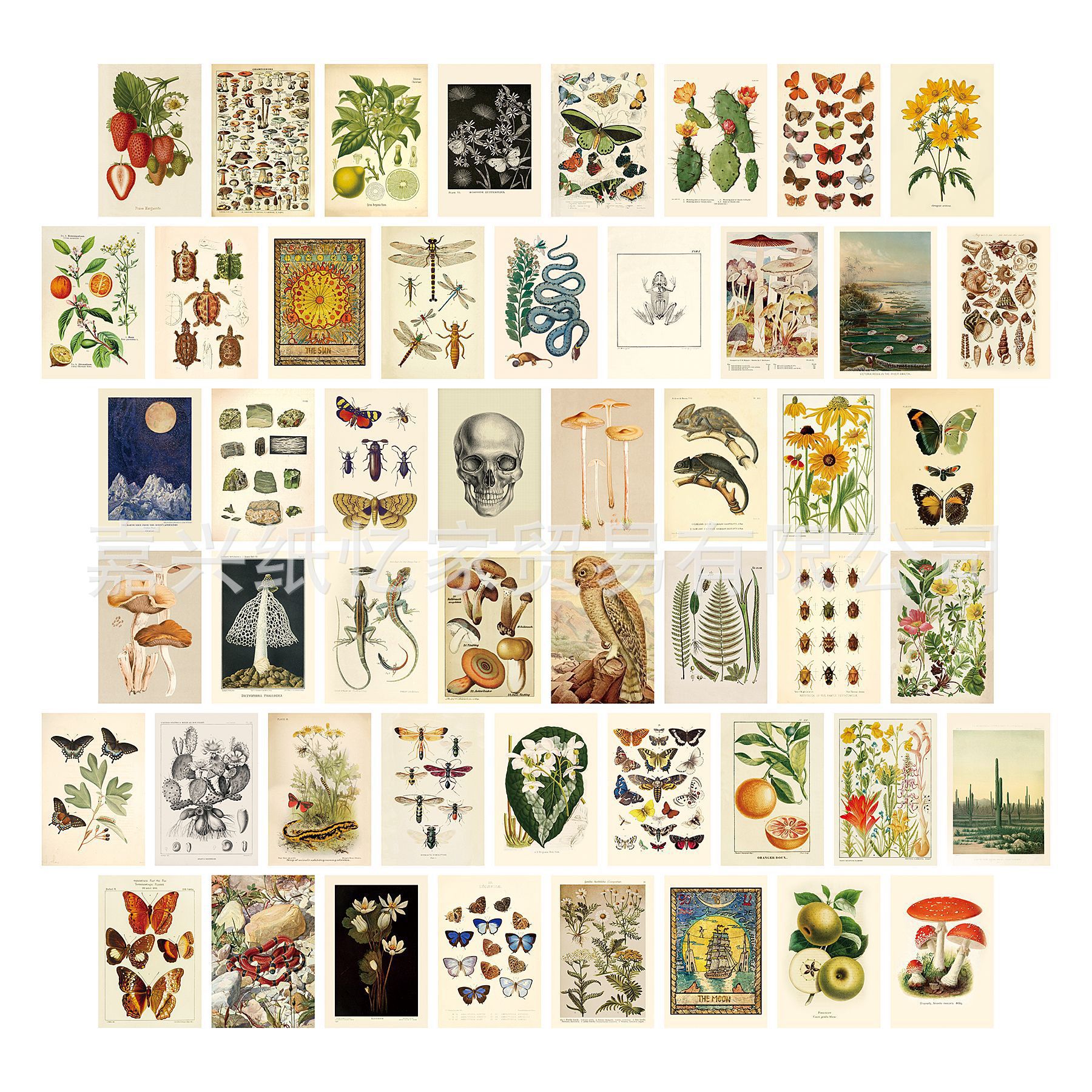 ZM035 (단면 인쇄)