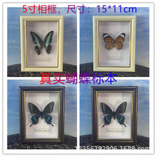 �挍�����˱������˱��̌W�Ҿ��b�c�[���ղ����նY�����