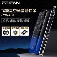 FEIFAN飞繁仰望星空12孔半音阶口琴YW48专业演奏成人初学者星空色