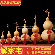 ��Ȼ���J����Ї��Y����Xľ�|����J���Ҵ����������J�[���͏d