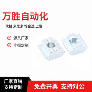 LNSN 6 8 10 TNTB-20/30/40/45-M4 M5 M6 M8 Aluminum Profile T Slider Nut