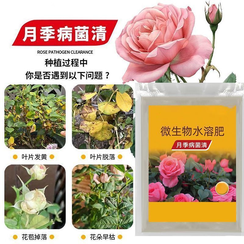 バラの病原菌の流通と配送、バラの花専用薬、黒点、白粉、黄葉、家庭園芸用一般花肥料|undefined