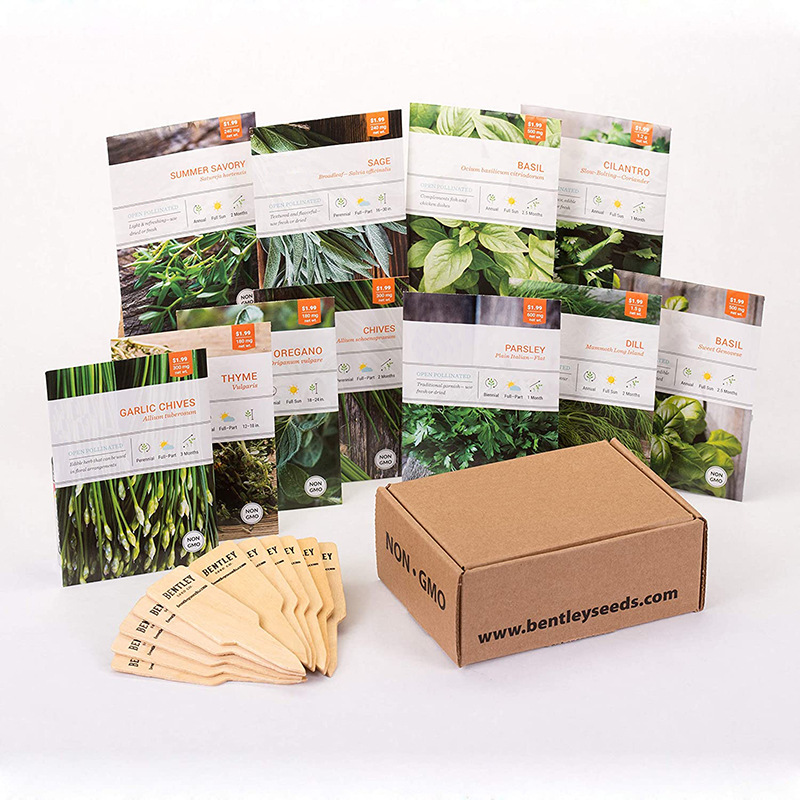 亚马逊新手创意种子入门套件阳台花园种植种植套装药草园种子