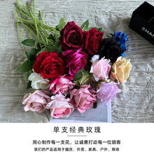 �羳������֧����õ����滨�߼��н����ٻ����l��c��Y��������