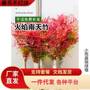 һ�����l���������Ԙ�������������҃��Ϙ��辰ͥԺ�^�~���ܾGֲ