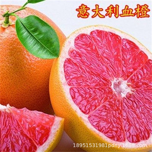 �����Ѫ�Ș���������޽��ش��Ϸ��NֲͥԺ�������Ԯ���Y��