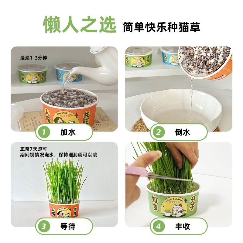 Cama de gato plantación en maceta perezosa plantación de cama de gato taza semillas de cama de gato cabello auto-cultivo cama de gato comida pequeña perezosa pasta de espuma cama de gato