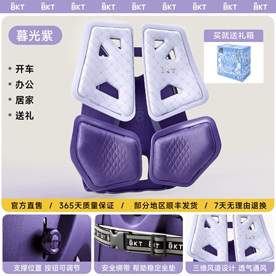 Waist support, Long Sitting, Office Chair - twilight-purple-forbidden-city-gift-box