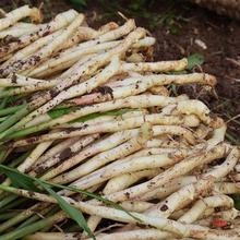 �Ĵ��r�н����r�����r��С��ѿ�������������]�S�����l�羳