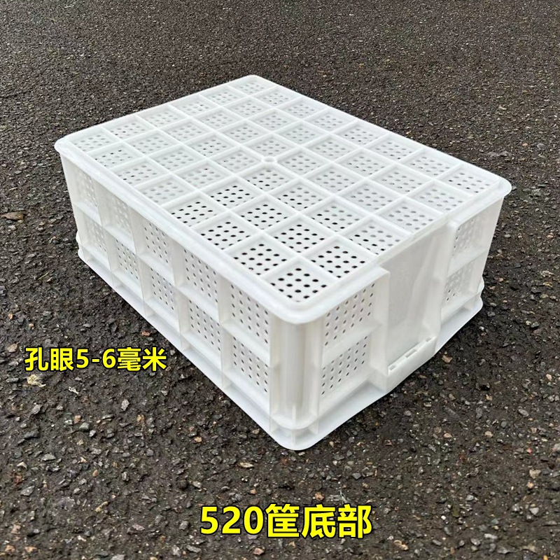 520白色底部.jpg