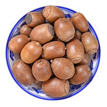 材橡子1公斤橡籽 橡实 栎树果 橡果橡栗