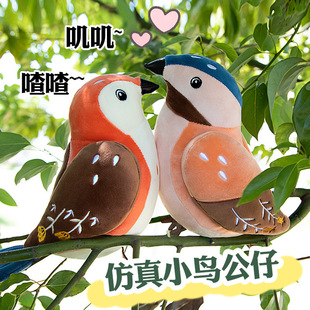 ܛ��С�Bϵ�Ў�������С�B��ͯë�q��ż