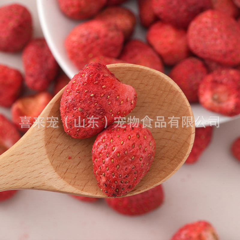 Pet FD strawberry freeze-dried fruit cat snacks mixed with food…