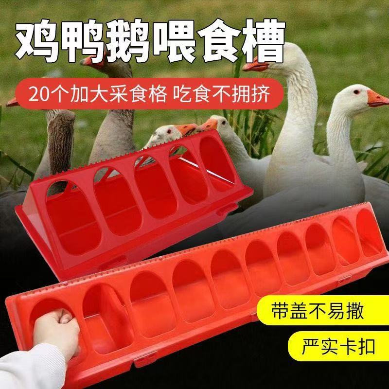 Fábrica de suministro de pollo de alimentación de pollo alimentador poroso canal de alimentación de pollo canal de alimentación poroso canal de alimentación de pollo