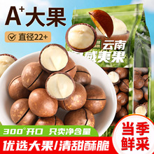 夏威夷果云南坚果零食批发新货奶香味原味大颗粒袋装休闲食品早餐