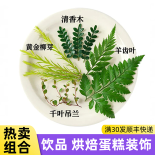 ��Ʒ�決�b�������ľ�~����ѿǧ�~���m�Ʒ�W�t�[�P����