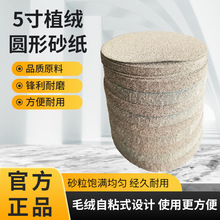 ��ţ5���ɰֲ�q��ĥɰ�����q��ĥ��ճ�����ĥɰ�Pā��ɰ���o�m