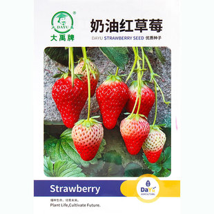 ��ݮ�N���ӷN�����ļ�ţ�̶����̨�Nֲ����ʳ�����ͼt�������