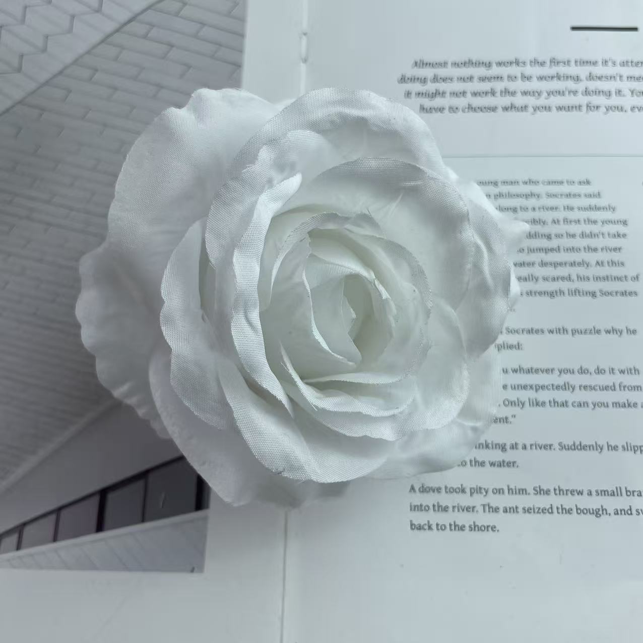 Anna gran rosa cabeza de fábrica al por mayor flowerhead flower corona flower pared flower arrangement artesanía DIY