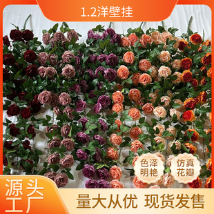 ���滨¶ɏ�ٗl����õ朗l��ĵ���ڒ���滨���̼Ҿ��bƵ�͏d