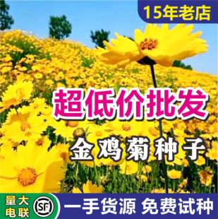 ���u�շN�Ӷ������ͺ����N���^�����@�־G���N�ѬF؛���l