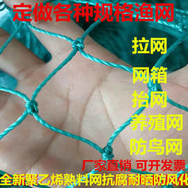 跨境养殖网 渔网 爬藤网捕防鸟网天顶网鱼网养鸡网护栏网加粗热卖