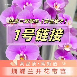 ᾳ��ĝM3�w������S����֮�ٺ����m���������Ԏ������Gֲ��