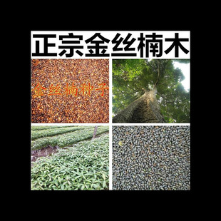 SN ӡ̴С~̴N ĴzľN