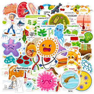 ���u50���¿��t���N���羳��Ʒ�����҃�ͯ�R�D����ƌW�N