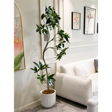 海虹景品大叶伞仿真绿植室内客厅高端轻奢风盆栽树大型落地假植物