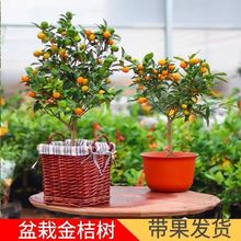 �^���ۘ����Դ�Ƥ����ļ�����Gֲ�҃�������������ͺ��߮a