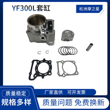 Ħ܇lәCYF300SL׸78mmhlәCw