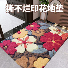 入户地垫地毯门垫进门吸水脚垫卫生间浴室卧室防摔防滑垫家用垫子