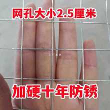 OI20\FzW늺WС׷߷PW̨oھWBֳu