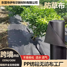 �羳�������ݲ�PP�o������Ĥ͸ˮ͸�ⲻ���ϻ��S�����l�r�÷��ݲ�