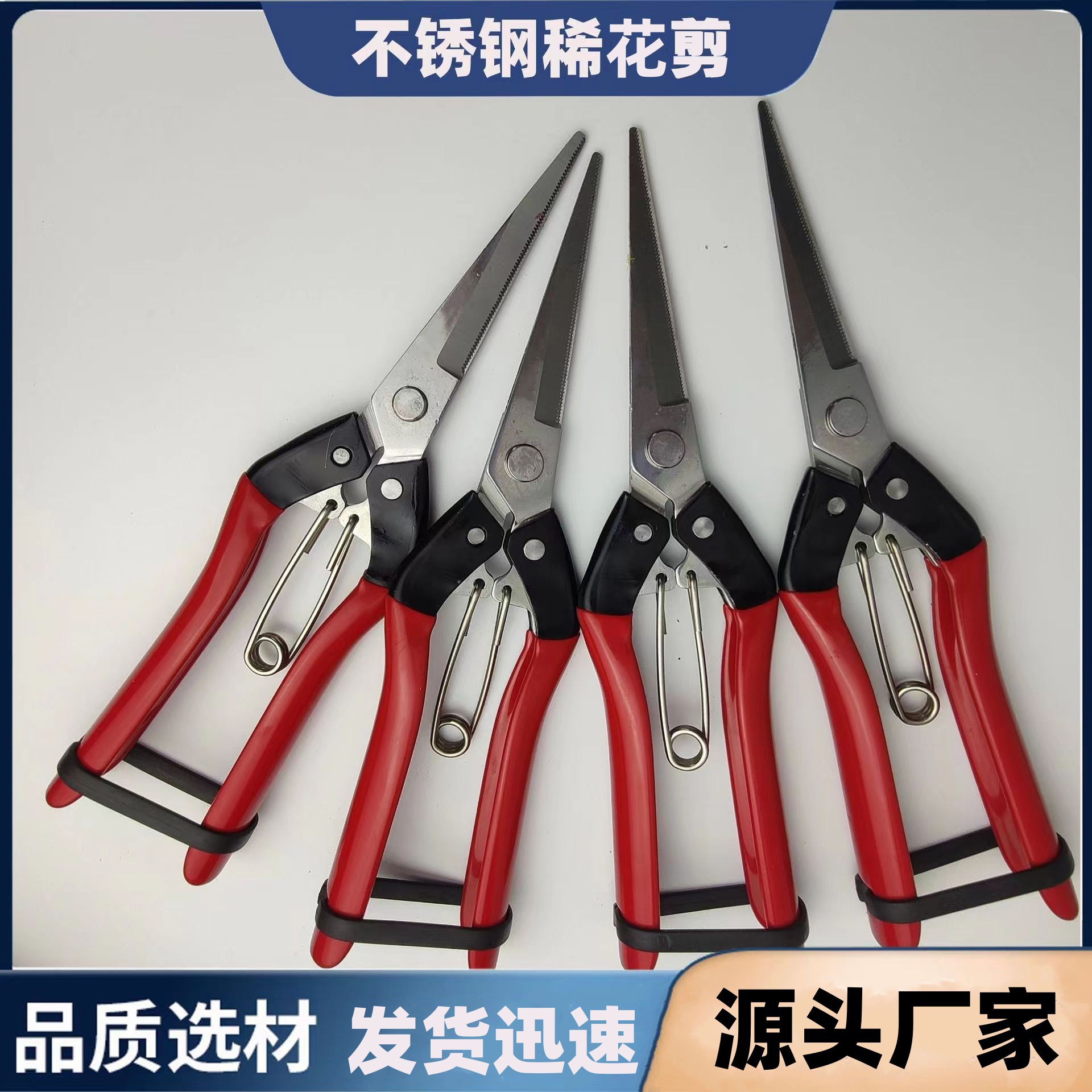 稀花剪疏花剪疏果剪采果剪葡萄摘果剪摘花剪园林工具不锈钢尖头剪
