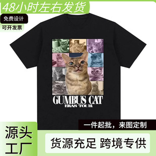 ������؈�r��Ѳ��Meme���e��Ĭ���bT����������T������