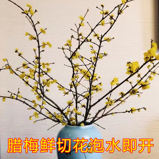 �D÷֦�D÷���������D÷�r����������֦�D÷֦�l��ˮ�_�r�л�ˮ�B