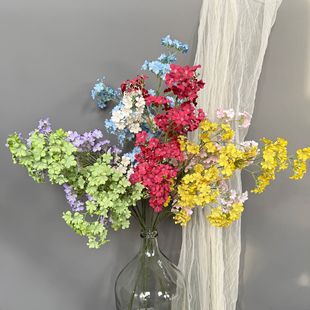 �����㽁����֦��@С�黨�Ҿӿ͏d�b��ٻ���c���滨�Ų廨