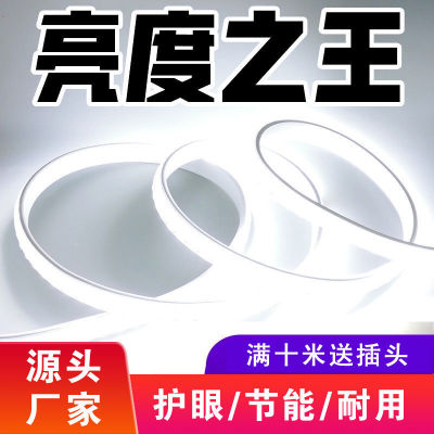 灯带led超亮220v室内客厅吊用室外线灯户外防水七彩三色变光