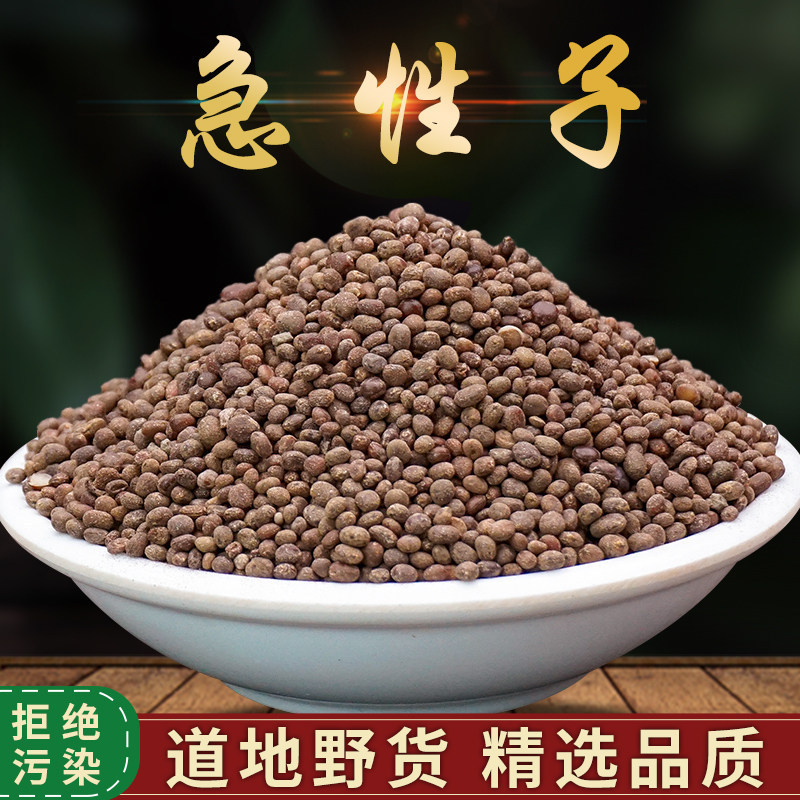 Wild Mountain Quick-Growing Plant Seeds 500g: Periwinkle Seeds, Henna Seeds, Safflower Seeds (Sold Separately, Fragrant Safflower Seeds)