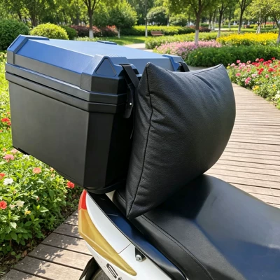Electric car rear backrest – Soft Riding Waist Protector
